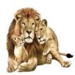 Lion Widget/Stickers