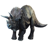 Triceratops Dinosaur Widget icône