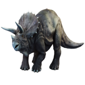Triceratops Dinosaur Widget icon