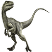 Velociraptor Widget/Stickers