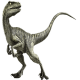 Velociraptor Widget/Stickers icône