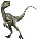 Velociraptor Widget/Stickers aplikacja