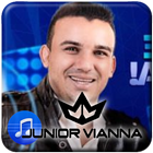 Junior Vianna music ícone