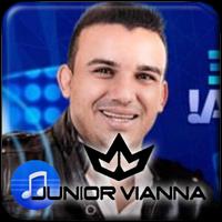 Junior Vianna music Poster