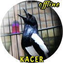 Masteran Kacer Gacor Ngeplong APK