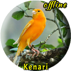 آیکون‌ Suara Burung Kenari  Offline