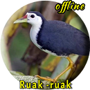 Ruak Ruak MP3 Offline APK