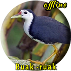 Ruak Ruak MP3 Offline ícone