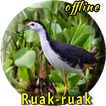 Wak Wak Pikat MP3 Offline