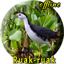 Wak Wak Pikat MP3 Offline APK