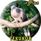 Tekukur Pikat MP3 आइकन