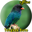 Tengkek Buto Ngekek Panjang