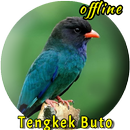 Tengkek Buto Ngekek Panjang APK