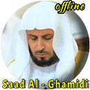 Saad Al Ghamidi Quran Offline APK