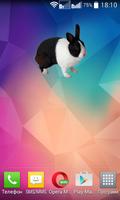 Bunny Widget/Sticker پوسٹر