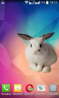 Bunny Widget/Sticker Ekran Görüntüsü 2