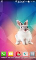 Bunny Widget/Sticker Ekran Görüntüsü 3
