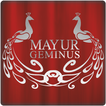 Bunty Group- Mayur Geminus