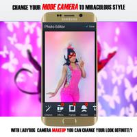 Ladybug Dressup 2 Affiche