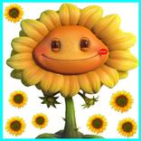 Угадай цветок (растение)