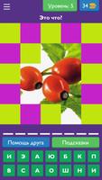 Угадай овощи фрукты ягоды スクリーンショット 2
