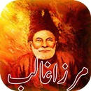 Mirza Galib Urdu Shayari APK