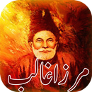 Mirza Galib Urdu Shayari-APK