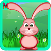 Evolution Rabbit Adventure APK