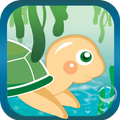 Turtle Go Home