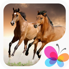 Cool Horse Wallpapers أيقونة