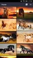 Cool Horse Wallpapers تصوير الشاشة 1
