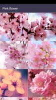 Aroma flower Wallpaper 스크린샷 2