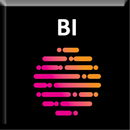 BI Dashboard APK