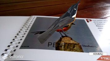 3 Schermata Aplikasi AR Burung Berkicau dan Kicauannya