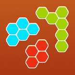 Wooden Jigsaw Block Puzzle