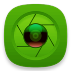 RTSP Camera Server icono