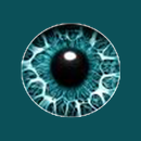 Settete APK