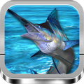 Real Fishing Games