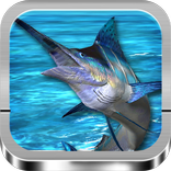 Bất động cá Games