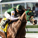 Horse Racing Championship 3D & Jumping Stunts 18 APK