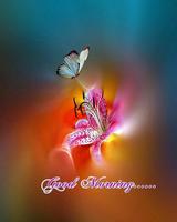 برنامه‌نما Good Morning عکس از صفحه