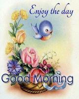 برنامه‌نما Good Morning عکس از صفحه