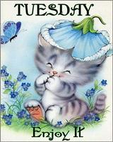 Everyday Wishes And Greetings imagem de tela 1