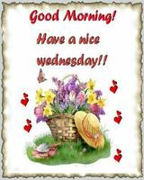 Everyday Wishes And Greetings imagem de tela 2