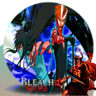 guide for bleach brave souls icône