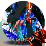 guide for bleach brave souls