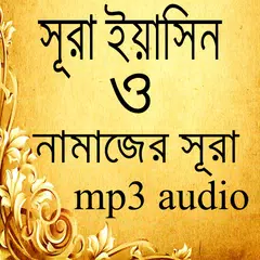 Baixar সূরা ইয়াসিন Surah Yasin يس APK