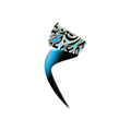 مجالس