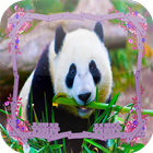 Panda Jigsaw Puzzles icône