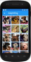 AdoptADog Puppy Adoption Poster